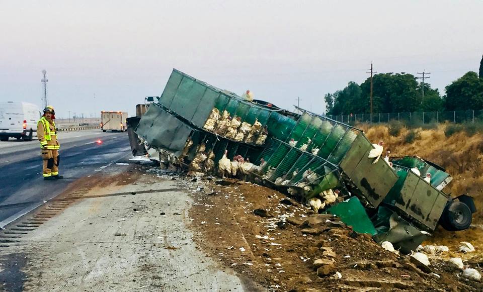Foster Farms truck overturns in Merced