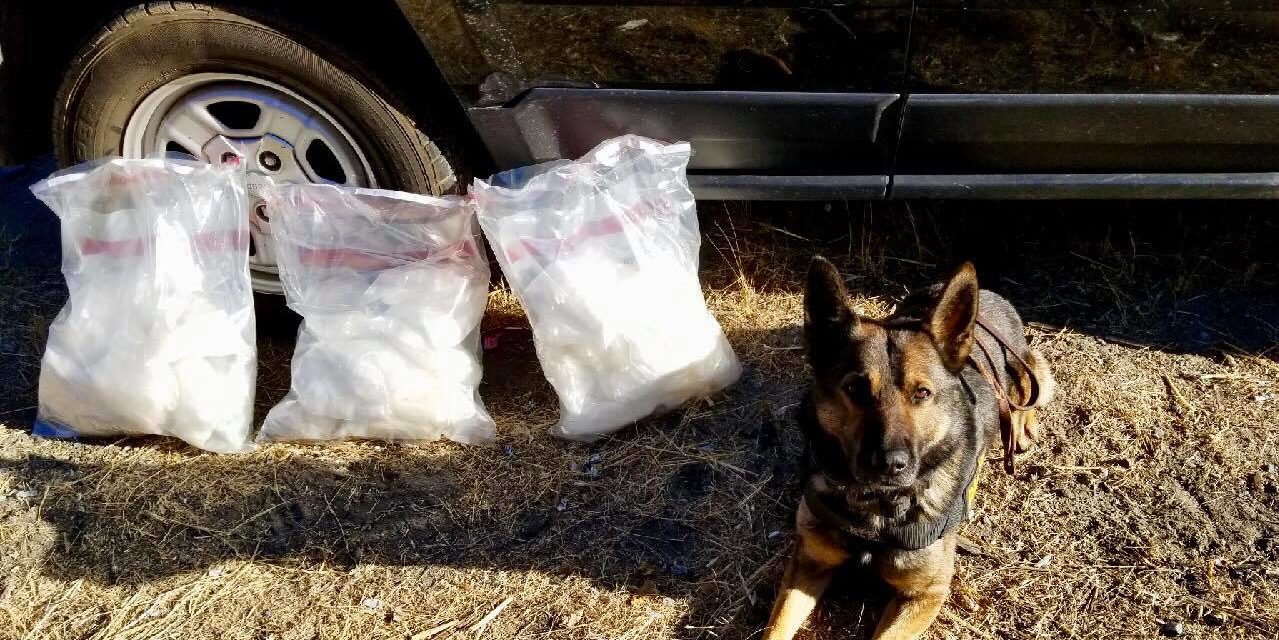K9 Finds 30 Pounds of Narcotics in Vehicle