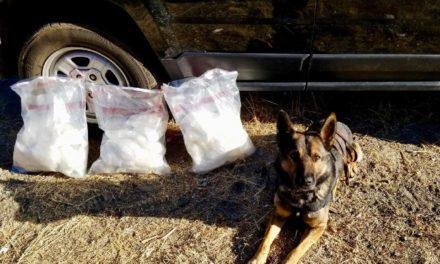 K9 Finds 30 Pounds of Narcotics in Vehicle