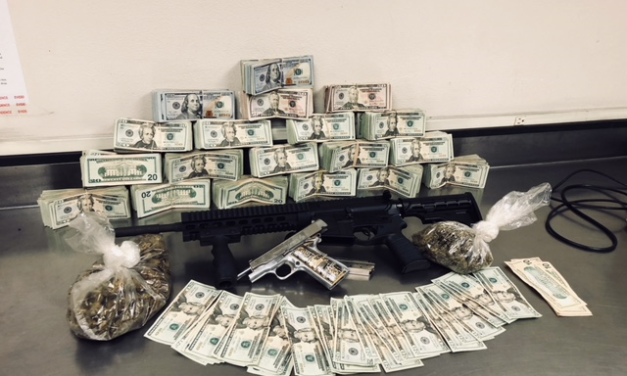 Officers find 1500 marijuana plants, guns in Merced home