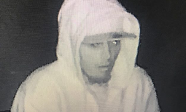 SUSPECTED BURGLAR ATTEMPTS TO BREAK INTO LIVINGSTON BUSINESS