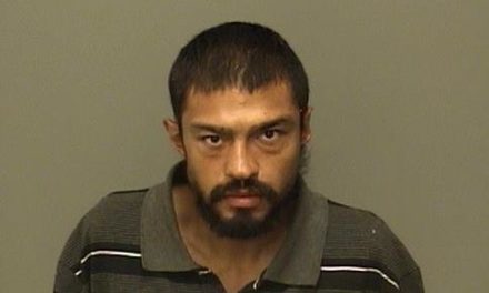 Merced County Theft Suspects From 11/11/2018 To 11/17/2018
