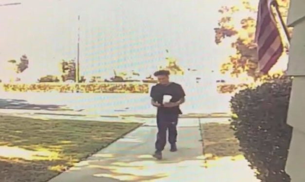 Suspected Porch Pirate Caught On Camera In Atwater