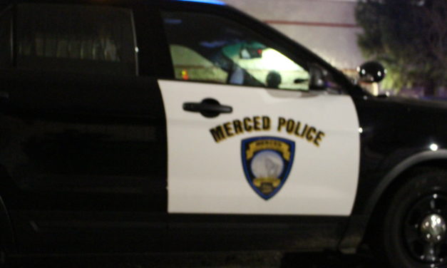 Man loses ear in Merced