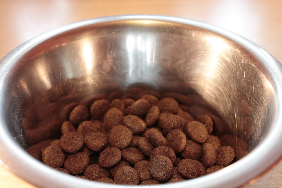 FDA recalls eight brands of dog food