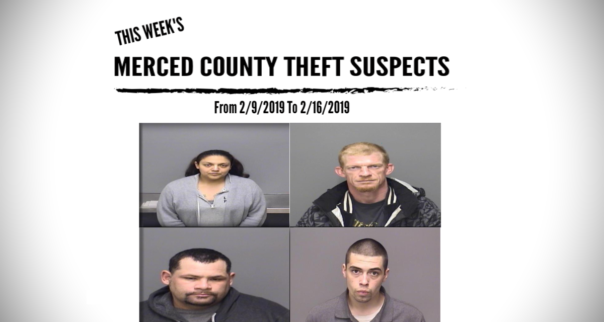 Merced County Theft Suspects From 2/9/2019 To 2/16/2019