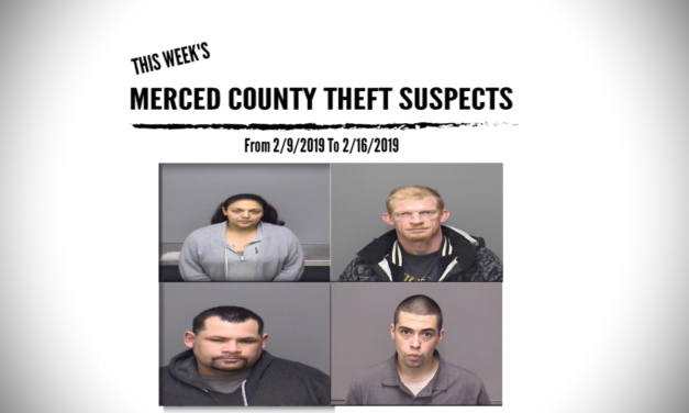 Merced County Theft Suspects From 2/9/2019 To 2/16/2019