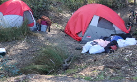 Merced County homeless count survey released
