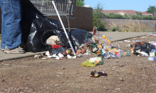 Volunteers collect over 700 pounds of litter in Merced