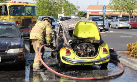 Vehicle catches fire in grocery store parking lot in Atwater
