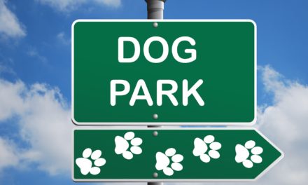 Livingston Plans For Future Dog Park