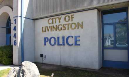 Livingston brings back police department trading cards