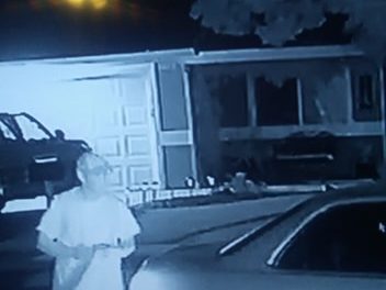 Suspected camera thief in Atwater