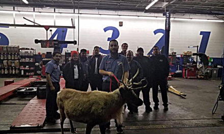 Woman surprises employees with Reindeer at local business in Merced