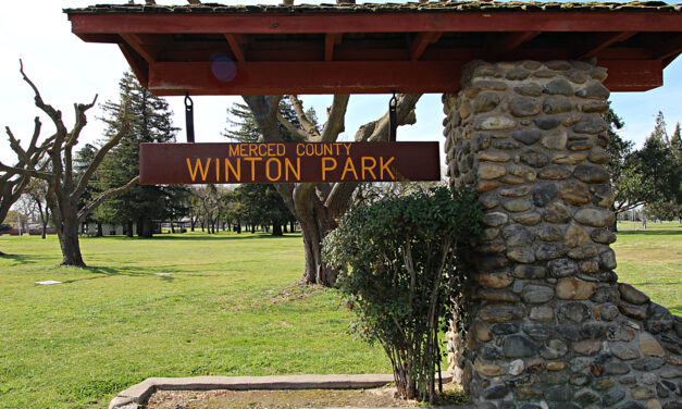 San Francisco 49ers to sponsor flag football league at Winton Park