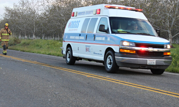 Stolen vehicle crashes, 7-year-old airlifted at Winton Park