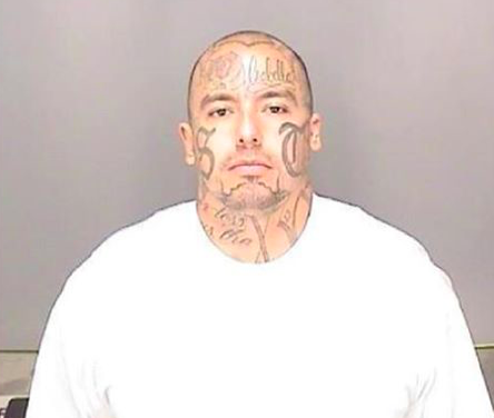 Dairy robbery suspect arrested