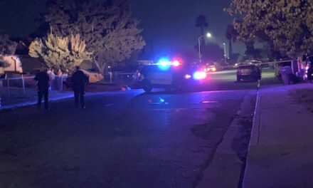 Shooting investigation underway in Livingston neighborhood