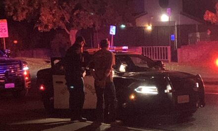 DUI suspect arrested after crashing into Merced County’s patrol vehicle
