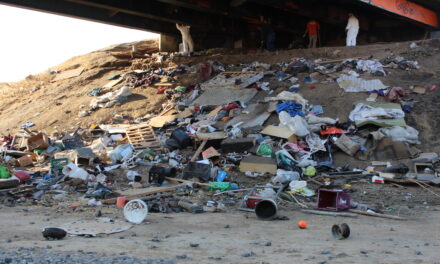 Homeless encampment removed under Childs Avenue overpass