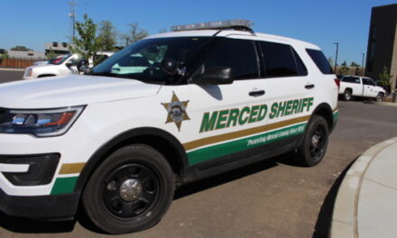 Merced County Sheriff Vern Warnke responds to California curfew