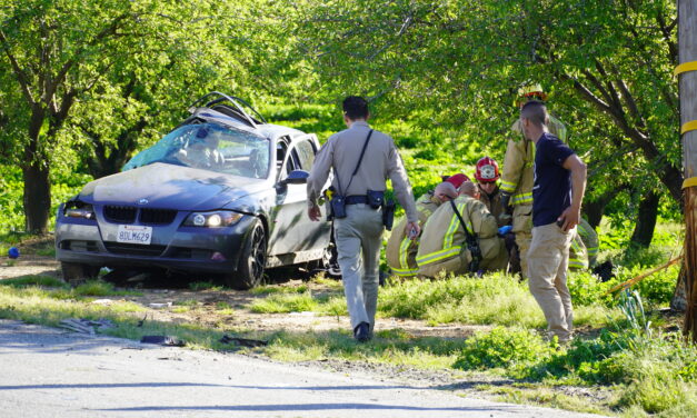 Winton crash splits power pole