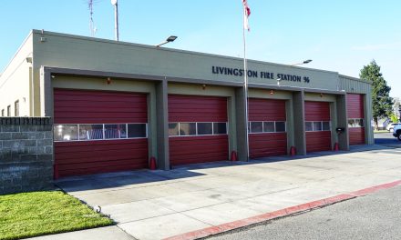 Livingston, County fire stations on the verge of closure